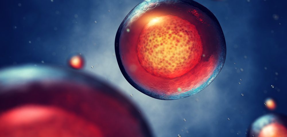 EU Grants €5.6 Million to Consortium Developing Sernova’s Cell Pouch Therapy for Hemophilia A Patients EU Grants €5.6 Million to Consortium Developing Sernova’s Cell Pouch Therapy for Hemophilia A Patients